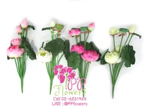 iTopPlus20812044018