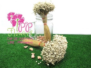 iTopPlus64885037006