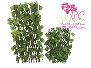 iTopPlus696354112007