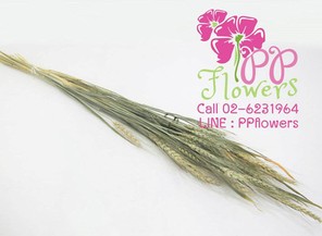 iTopPlus765875803889