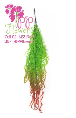 iTopPlus851389160304