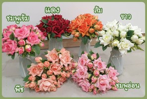กุหลาบบริชาร์ต1