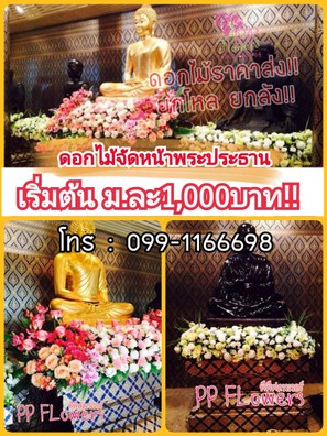 19-08-19-17-32-25-864deco