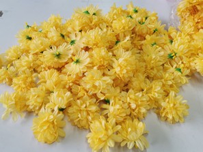 25556768717724674229504345590474735574494948n