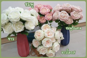 กุหลาบอังกฤษ1