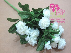 iTopPlus245888732245