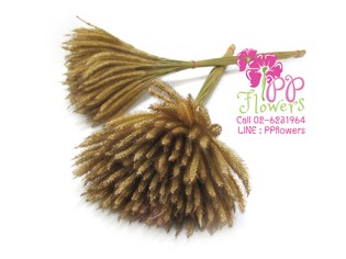 iTopPlus414808462323
