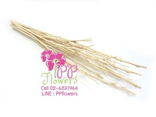 iTopPlus828734323090