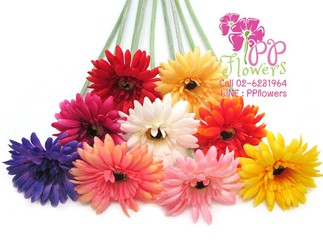 iTopPlus1058740907986