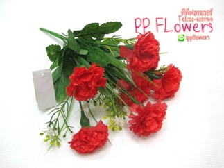 iTopPlus276544166311