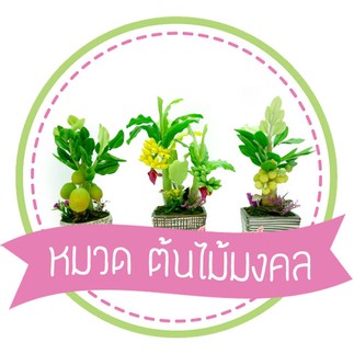 iTopPlus770018480564