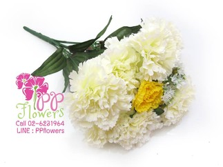 iTopPlus853889181316