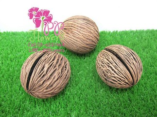 iTopPlus977714450850