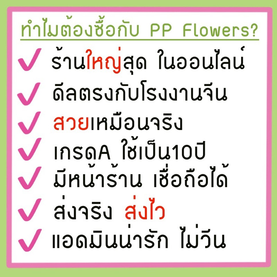 ทำไมต้องซื้อกับพีพีฟลาวเวอร์