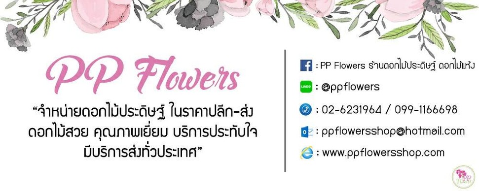 iTopPlus687503367669