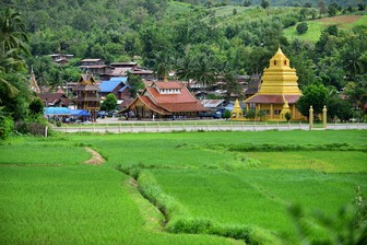 นาแห้ว
