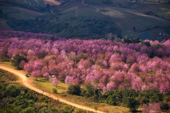 ภูลมโล