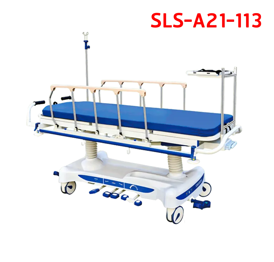 SLS-A21-113