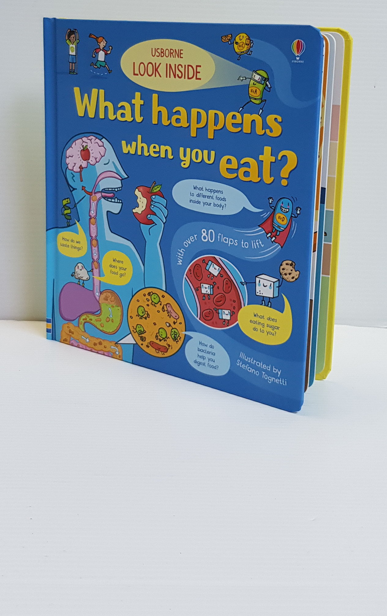 Look Inside What Happens When You Eat