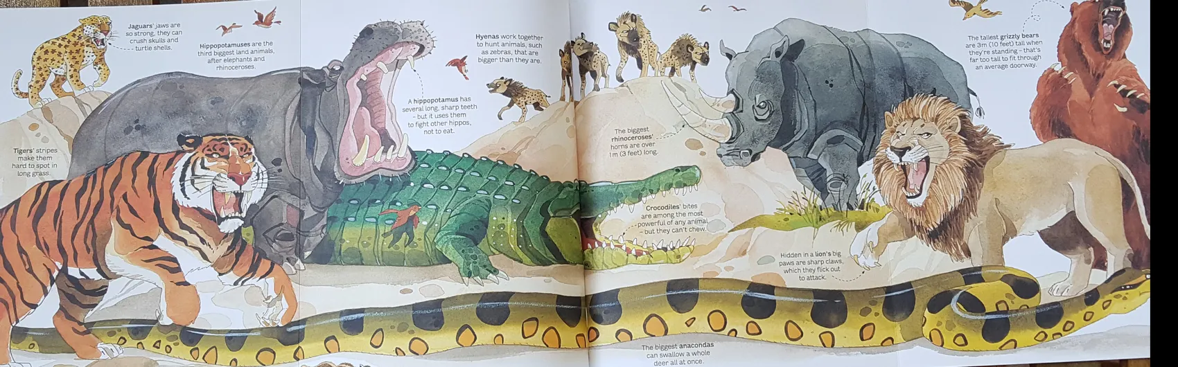 Big Book of Animals