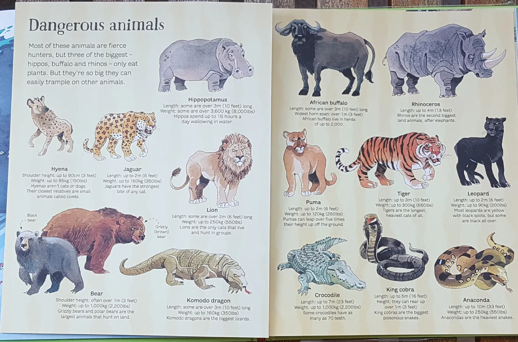 Big Book of Animals