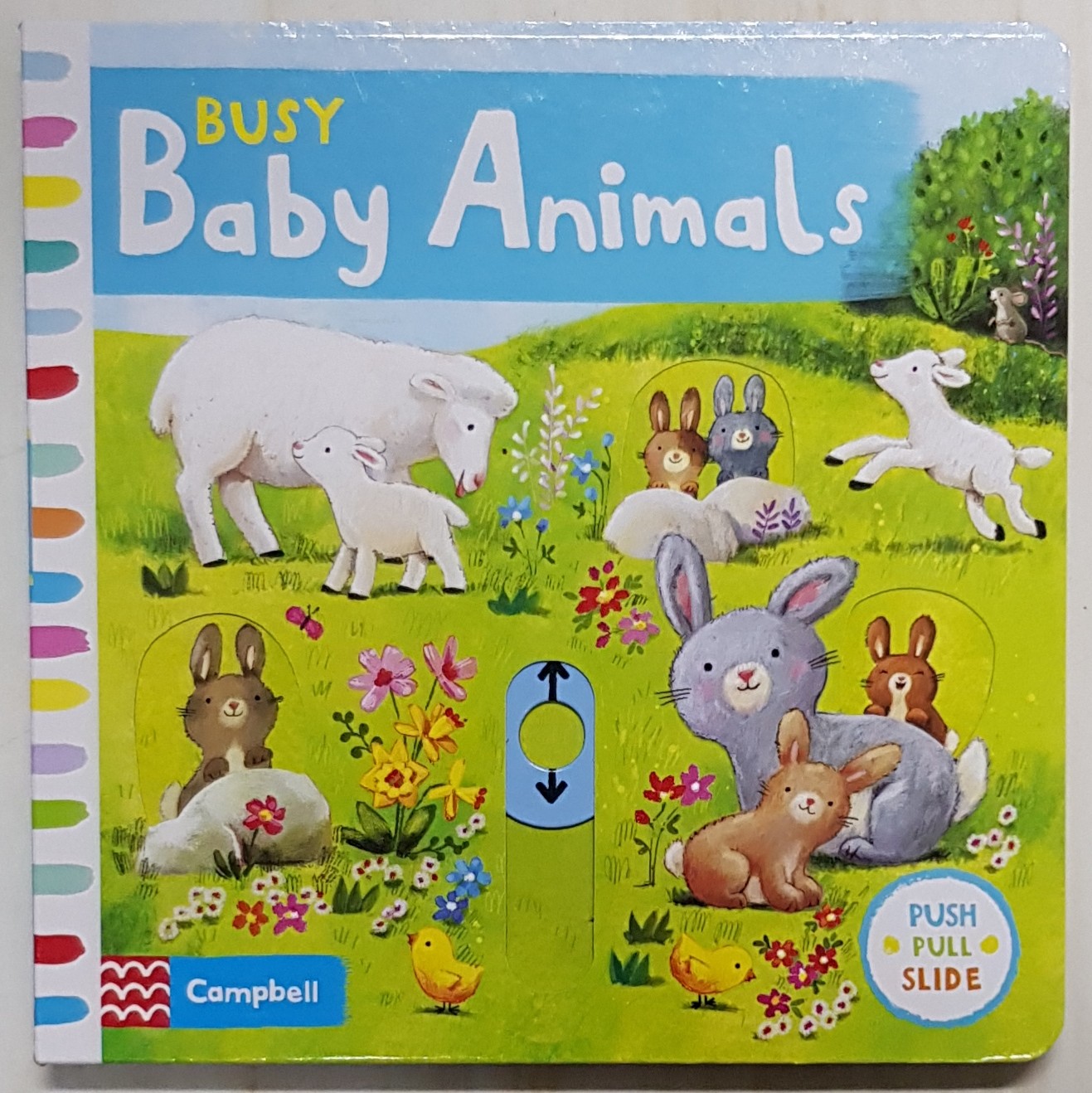 Busy Baby Animals
