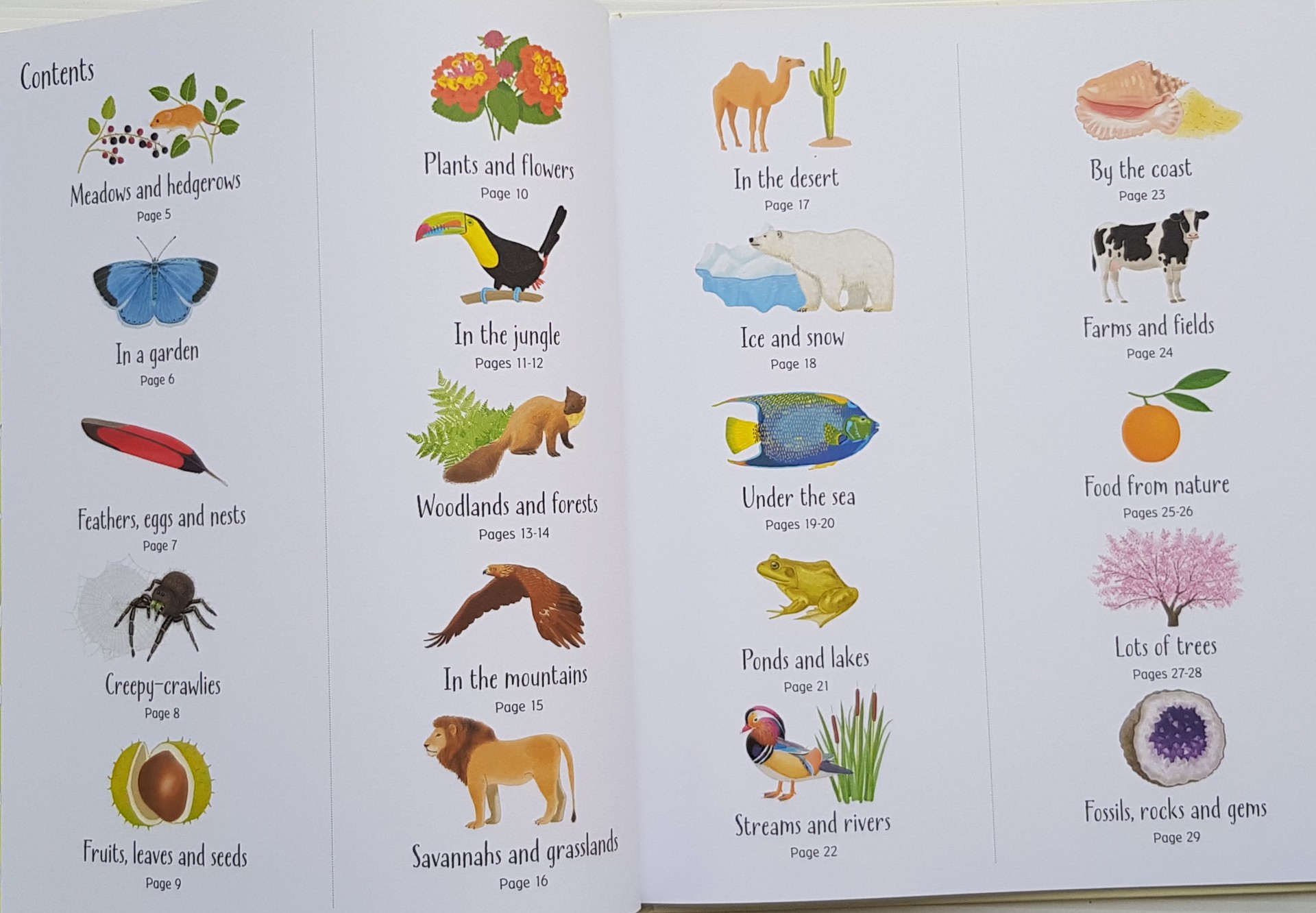 1000 Things in Nature