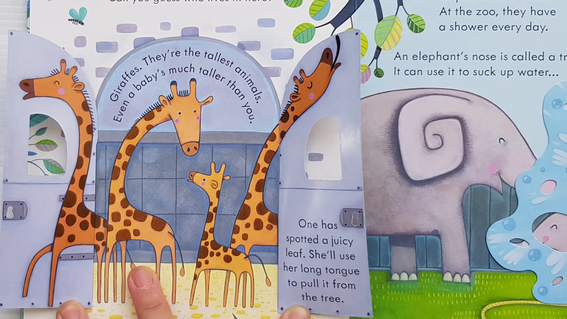 Peep Inside: the Zoo