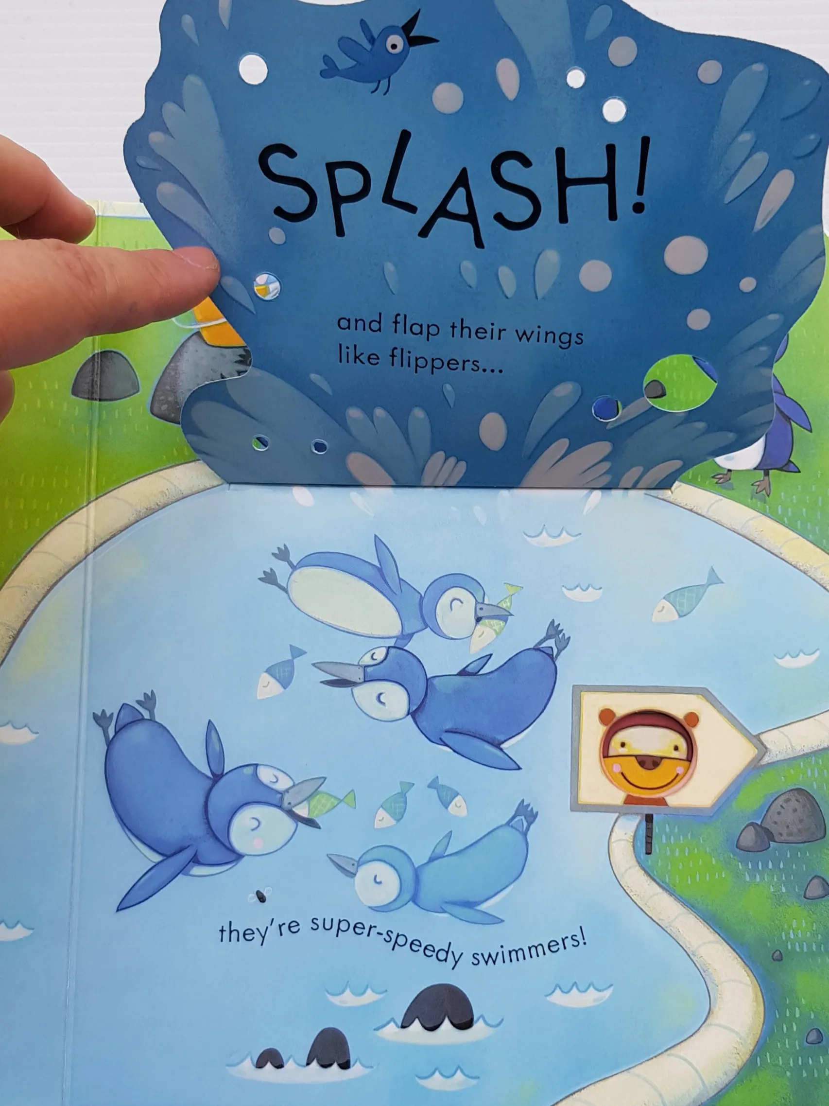 Peep Inside: the Zoo