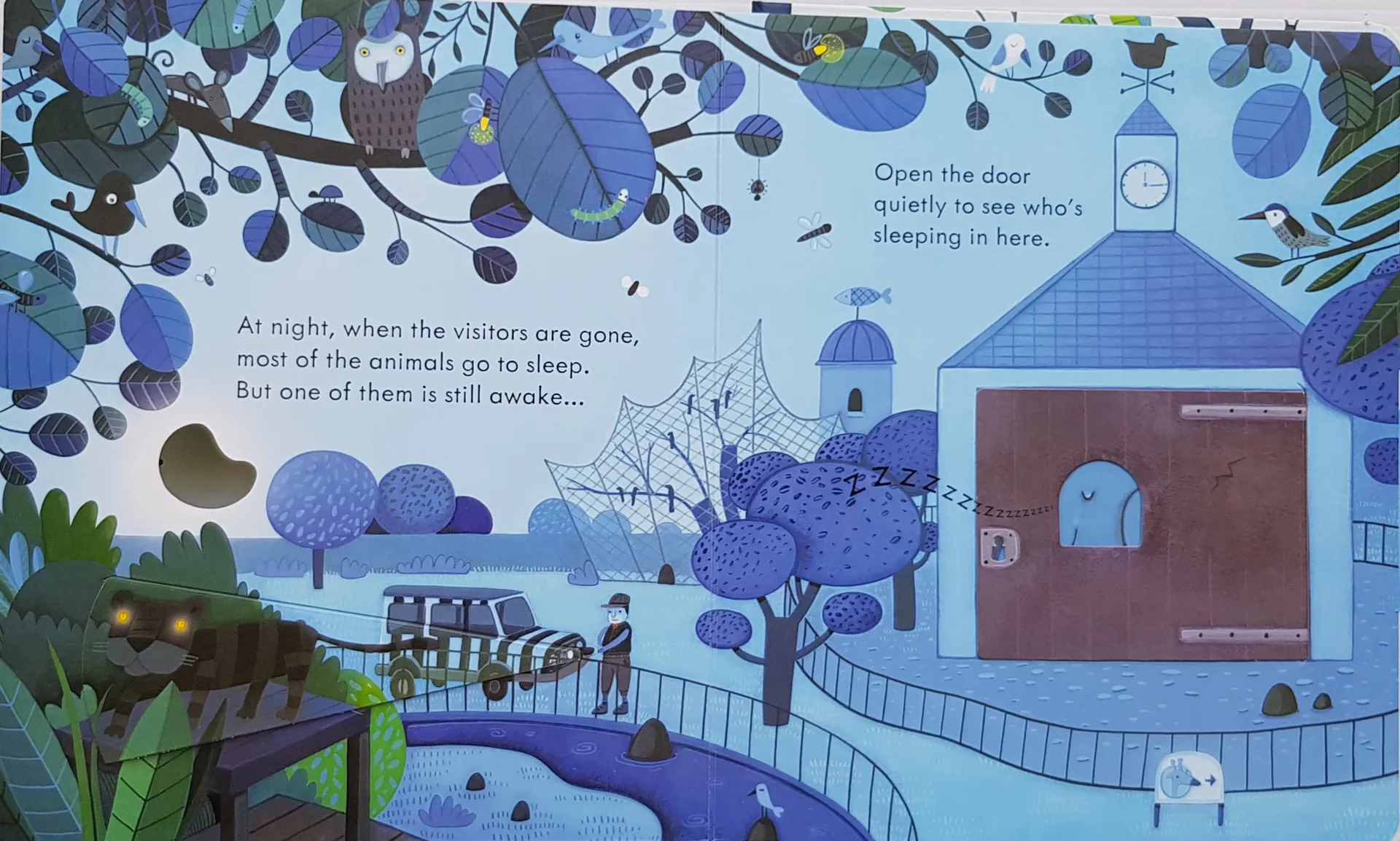Peep Inside: the Zoo