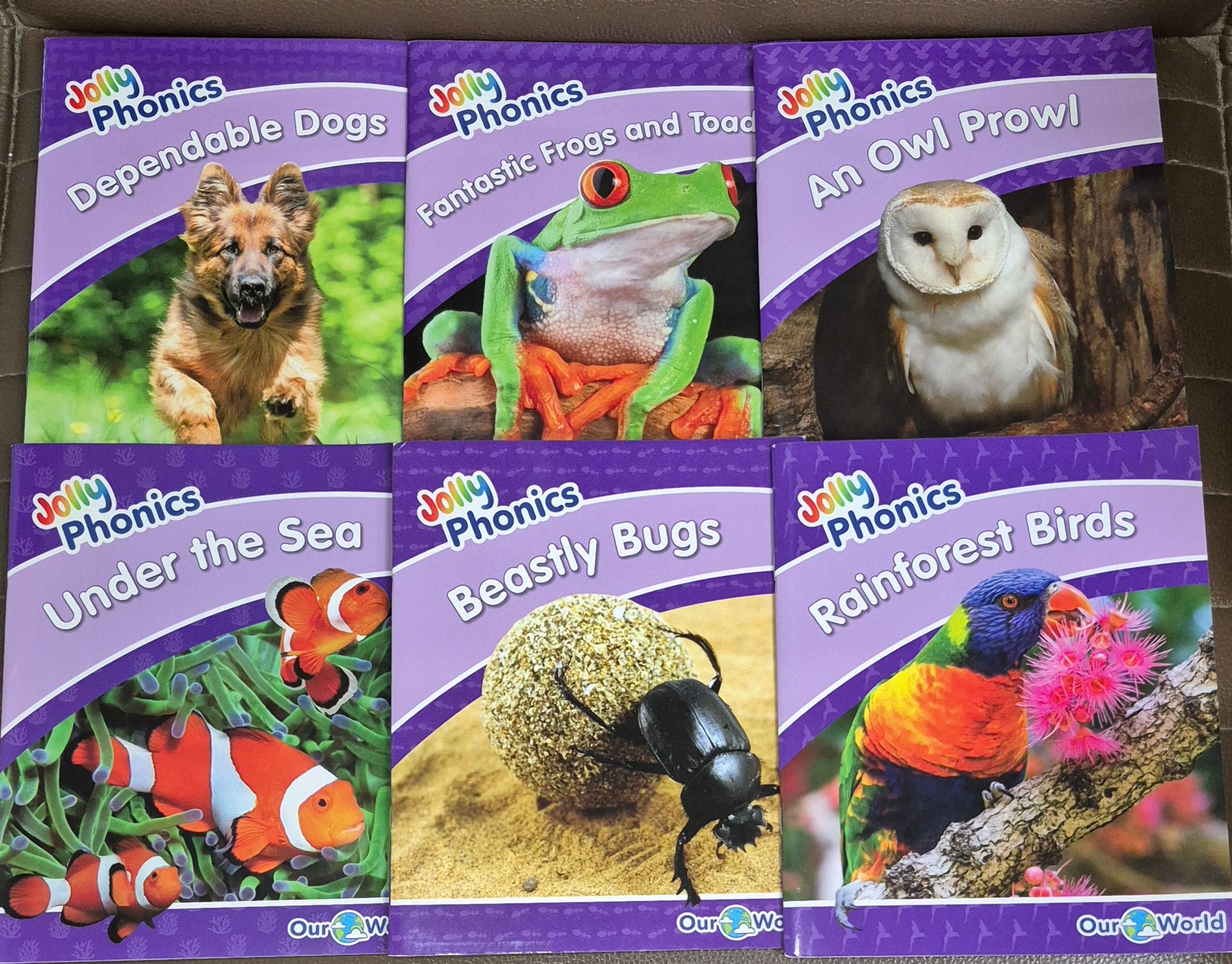 Our World Nonfiction, Purple Level 5, Jolly Phonics Readers,  (pack of 6): In Precursive letters