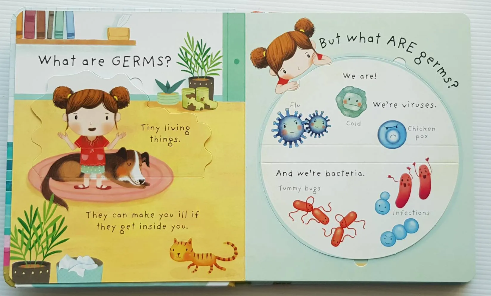 What are germs ?