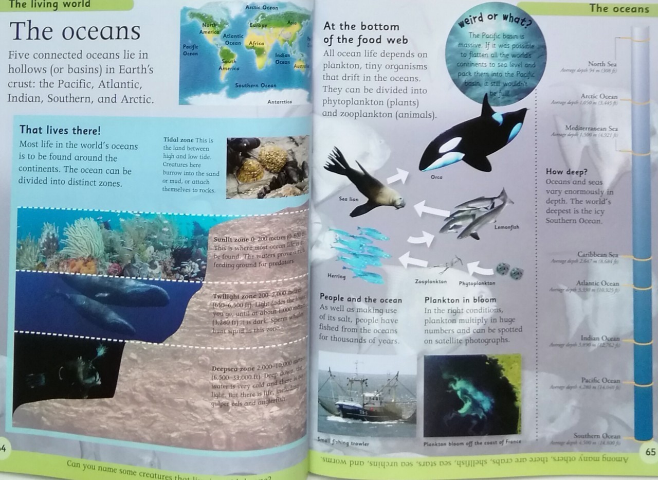 First Geography Encyclopedia