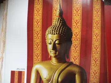 iTopPlus850112705086