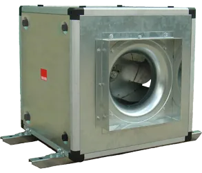 product-8