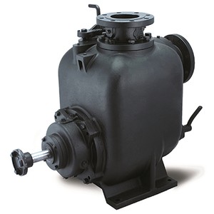 iTopPlus830191258716