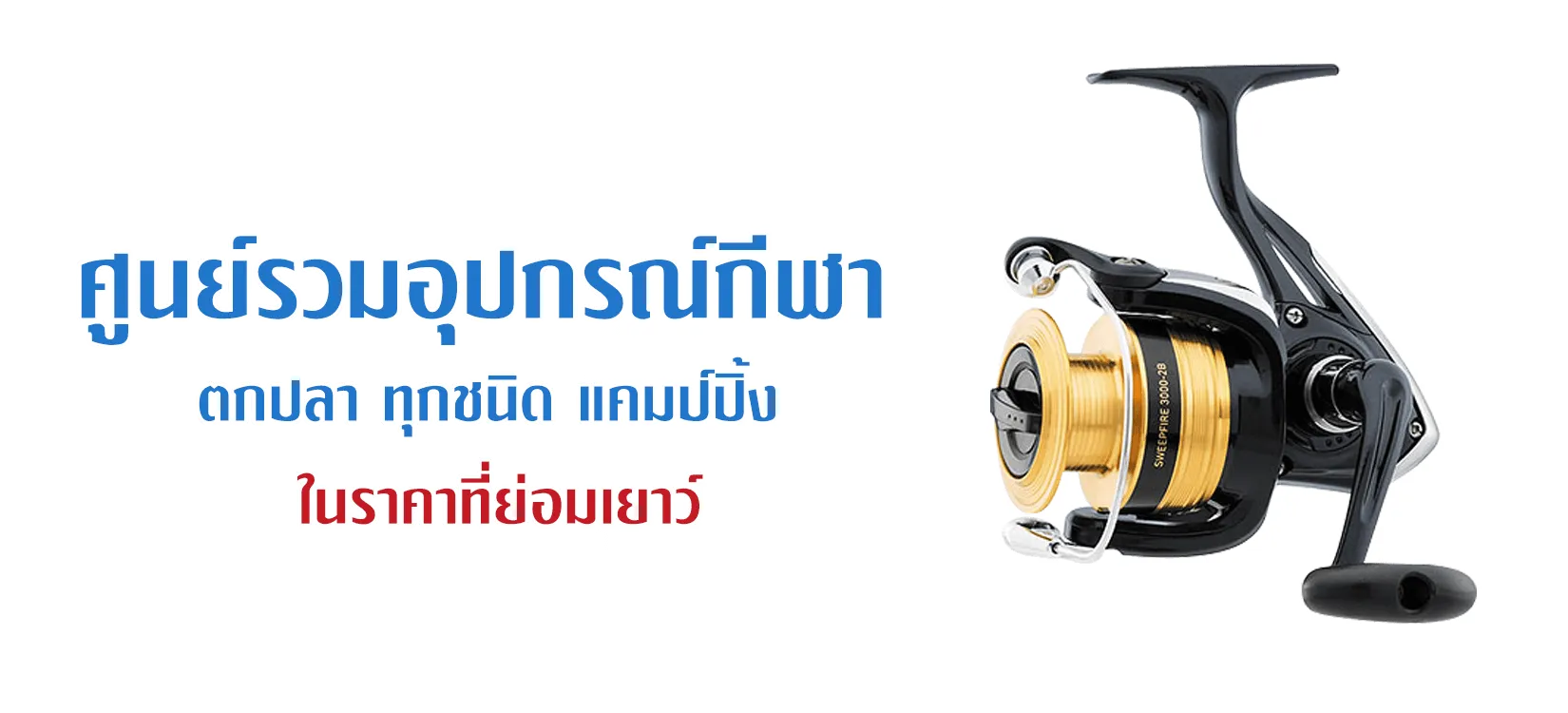 iTopPlus127525049228