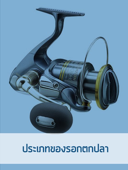 iTopPlus1265106405096