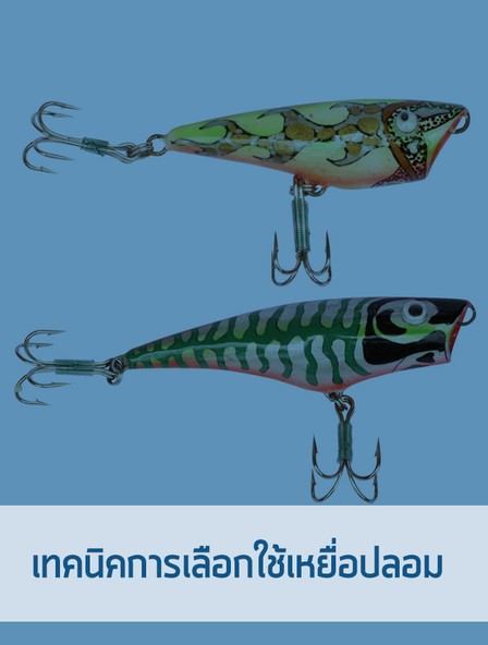 iTopPlus162524693632