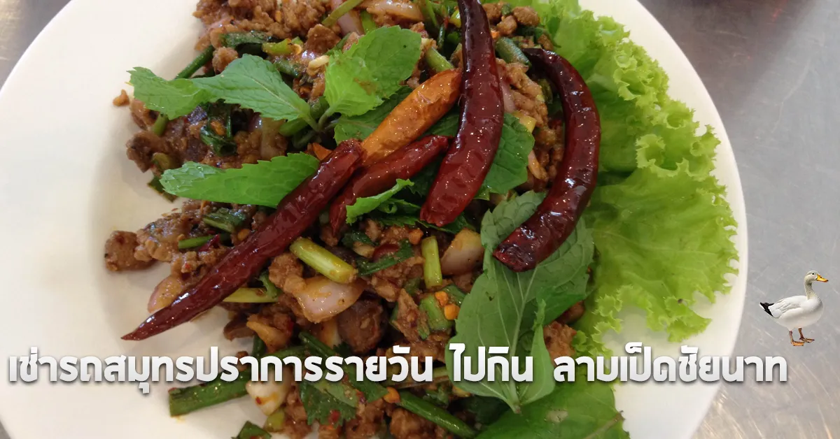 เช่ารถสมุทรปราการรายวันไปกินลาบเป็ดชัยนาทECOCARCOVER