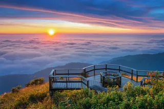 shutterstock2091837973-1