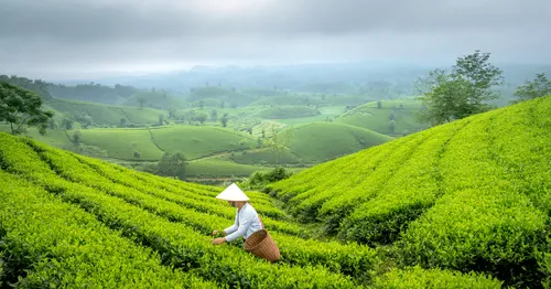 ThaiSharp-Featured-Image-15-2