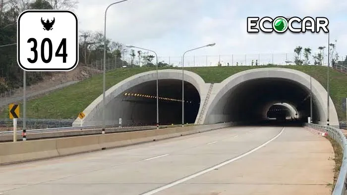 รถเช่ากรุงเทพ-ECOCAR-HW304