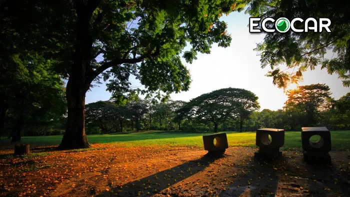 เช่ารถกรุงเทพ-เที่ยว-สวนรถไฟ-สวนร่มรื่นกลางกรุง--ECOCAR