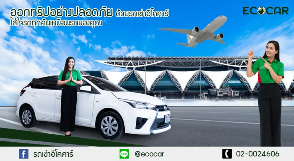 bird29แก้ไข221