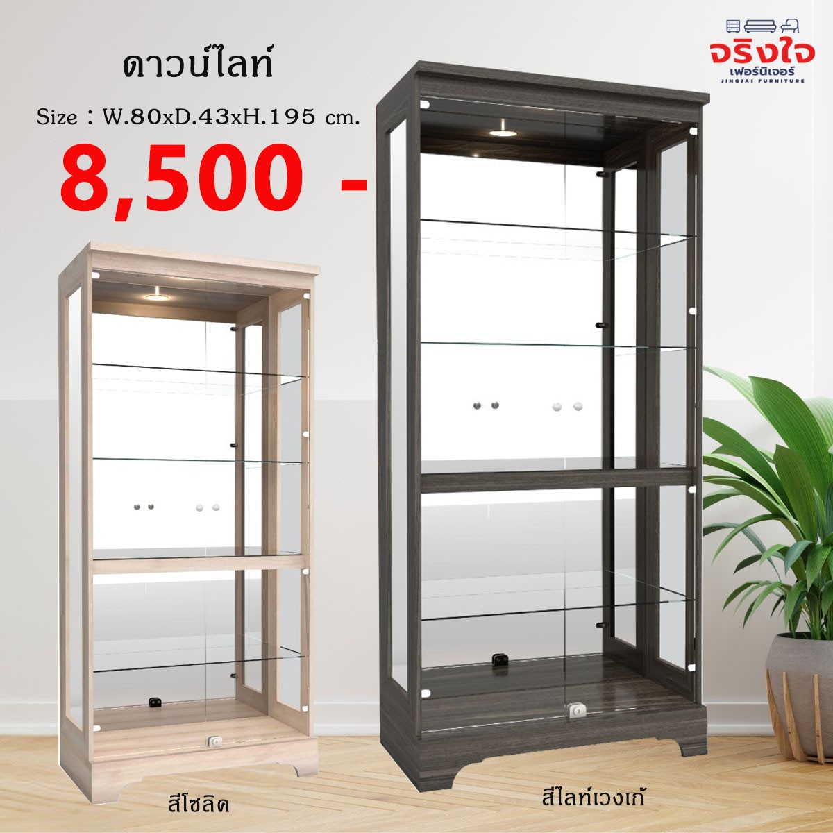 ปก11