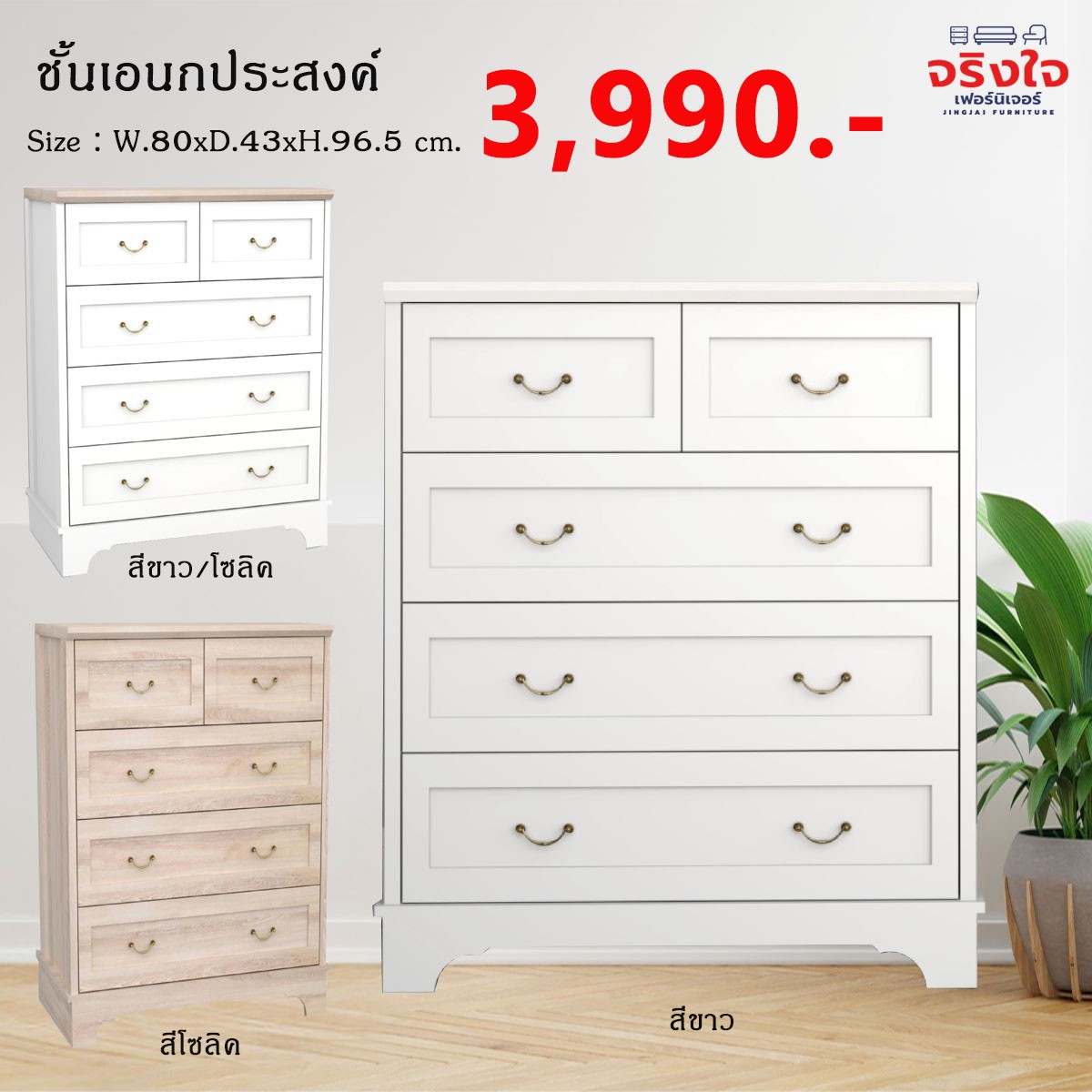 ปก24