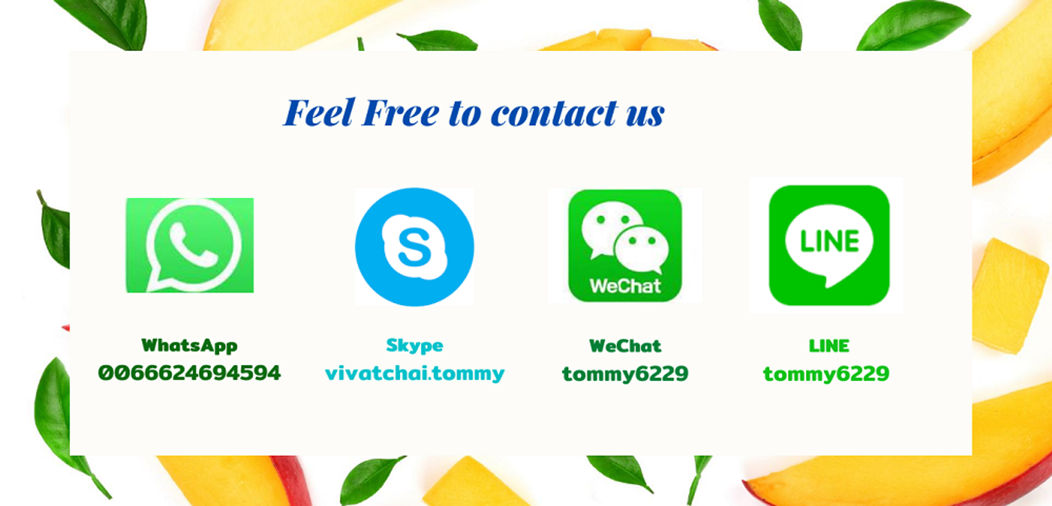 Contact2