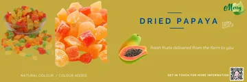 BannerWebsiteDriedPapaya2(1)