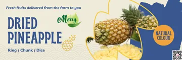 BannerWebsiteDriedPapaya
